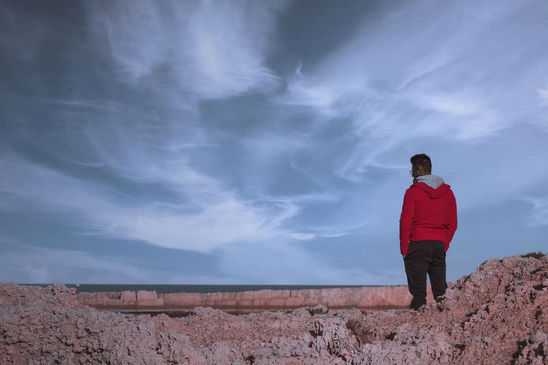Homme en hoodie rouge debout sur la roche brune sous des nuages ​​gris puzzle en ligne