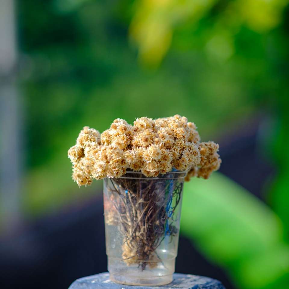 Καφέ λουλούδι σε καθαρό γυάλινο βάζο online παζλ