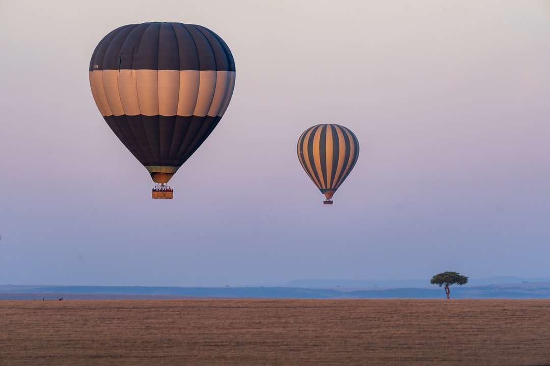 hete luchtballonnen op de hemel overdag online puzzel
