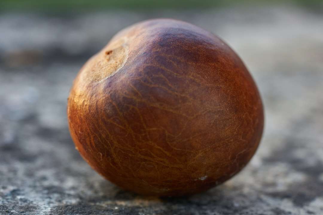 Fruta redonda marrón sobre superficie de hormigón gris rompecabezas en línea