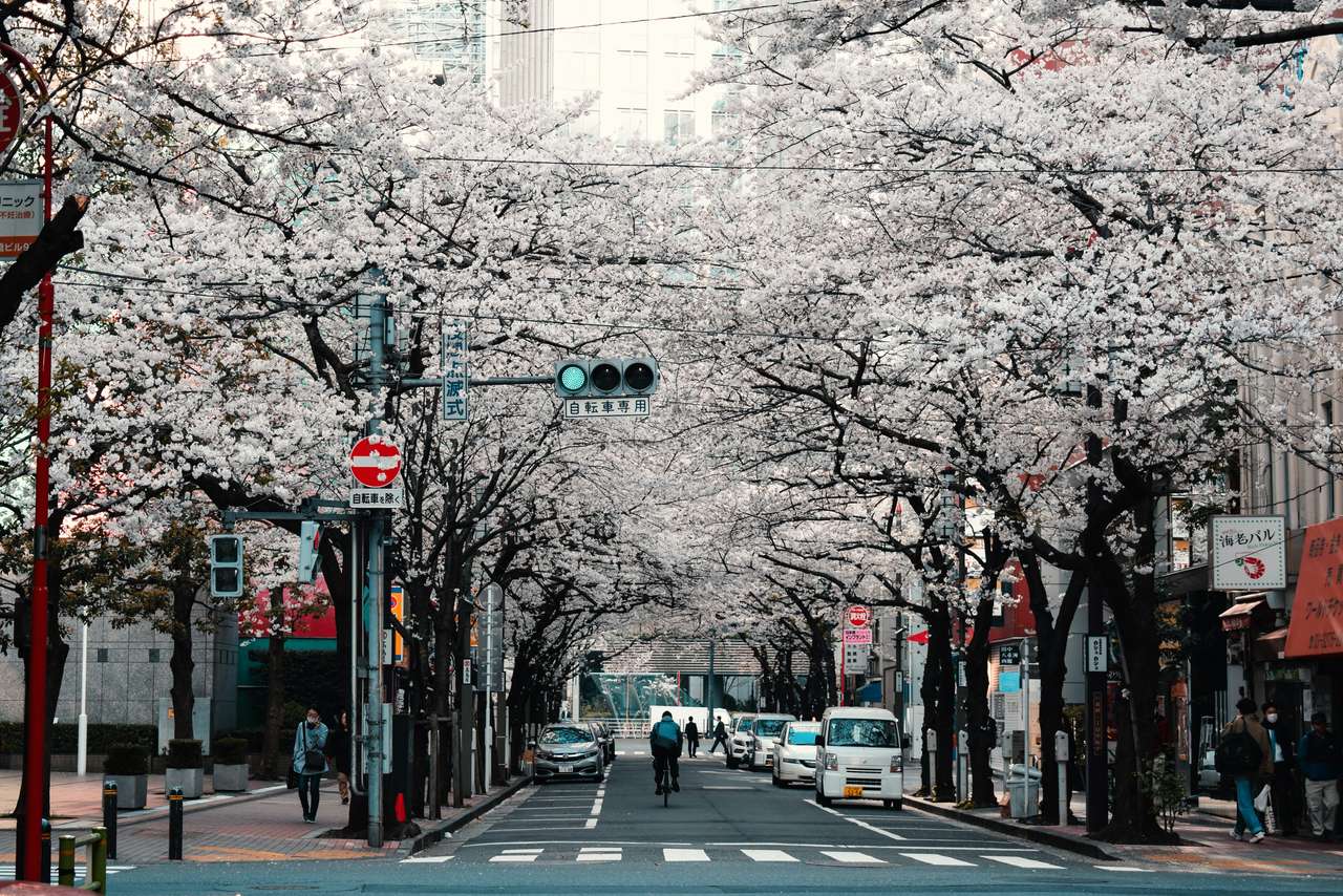 Tokyo, Japonsko skládačky online