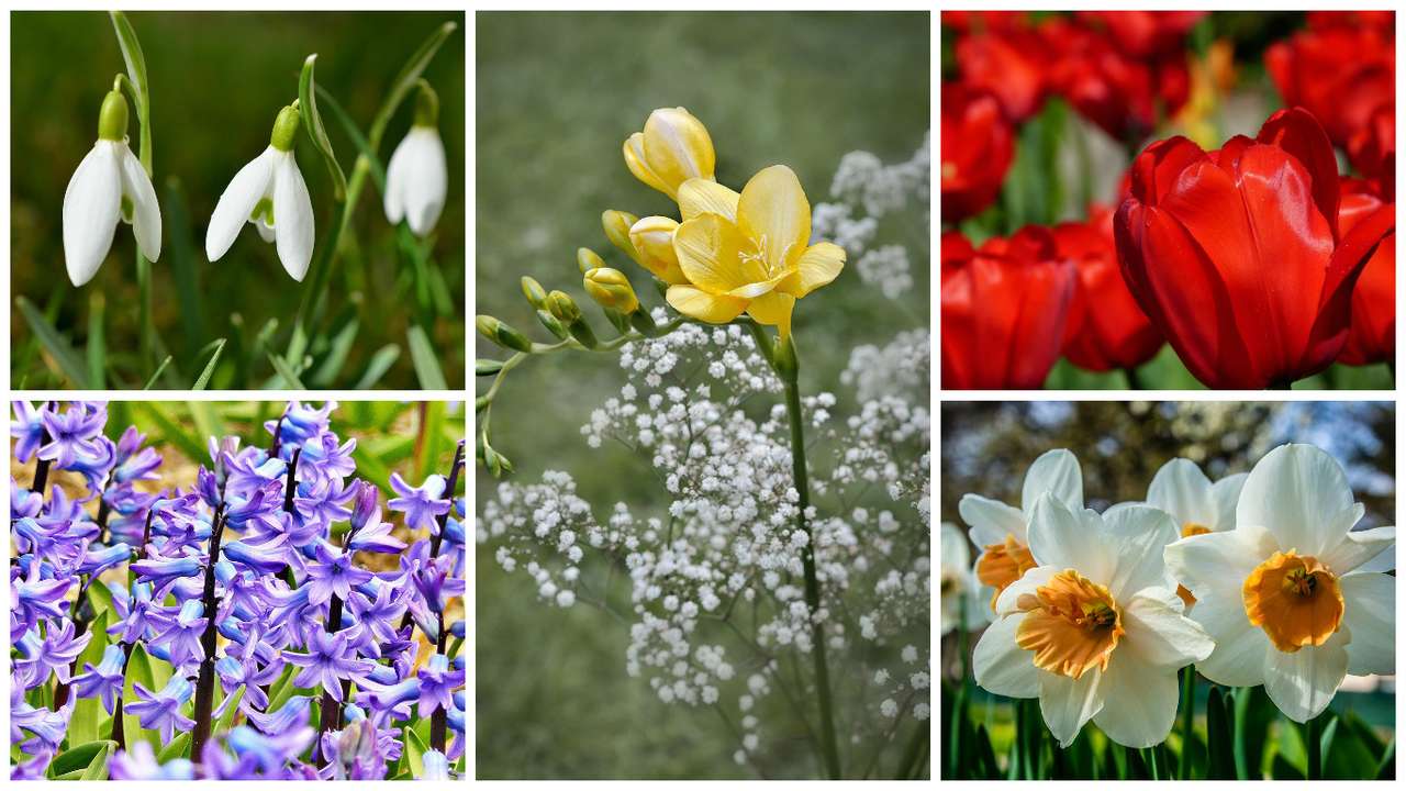 Пролетни цветя онлайн пъзел