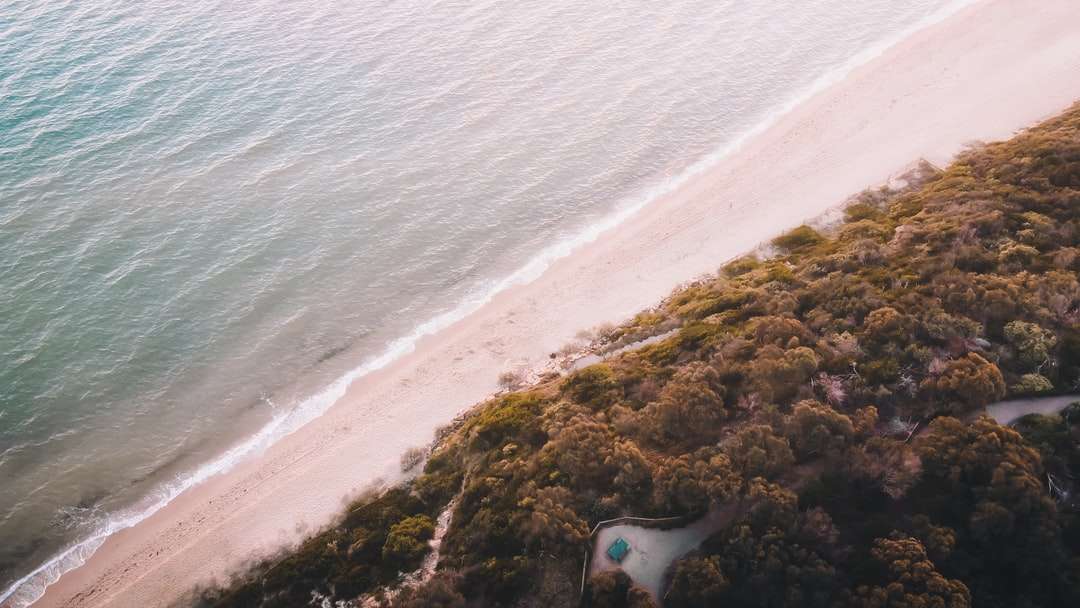 Légi nézet a strand napközben online puzzle