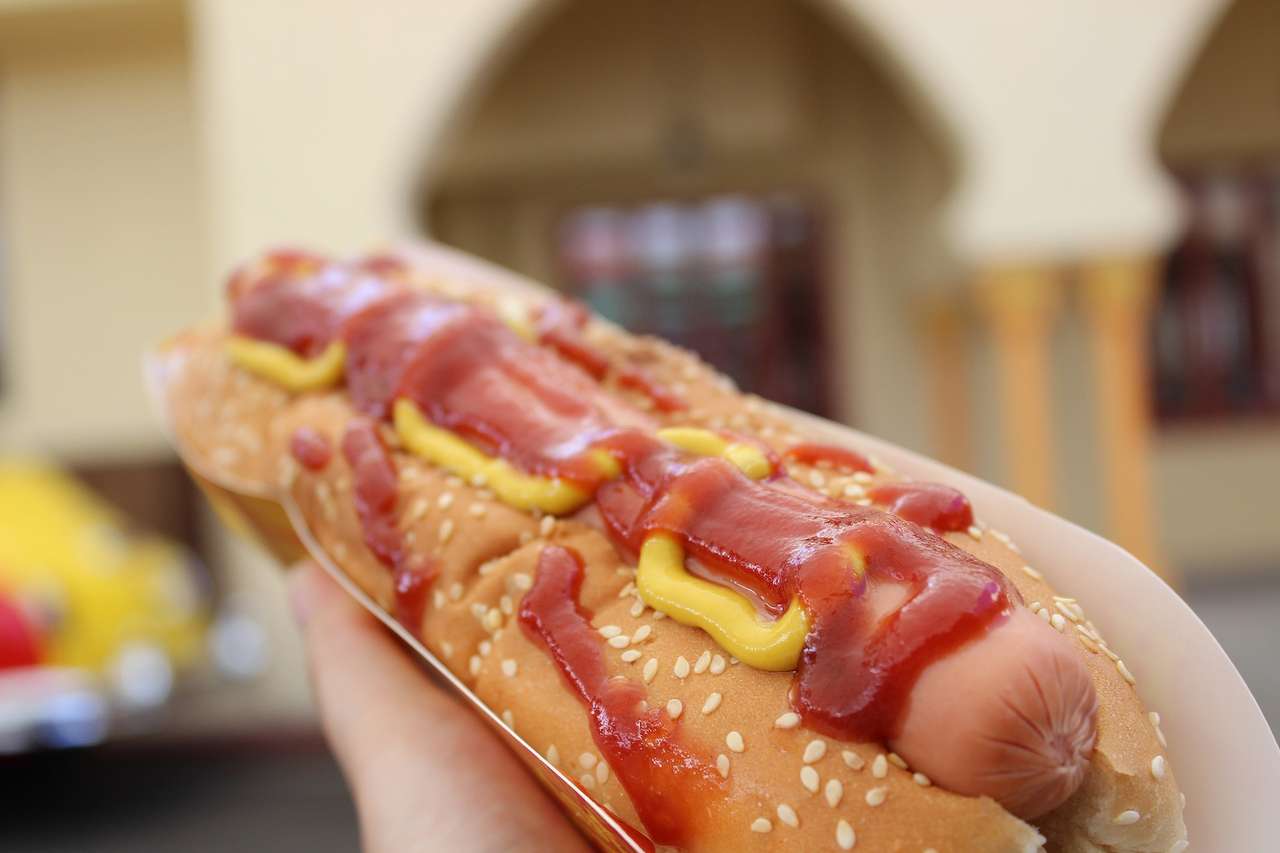 Hot dog puzzle online