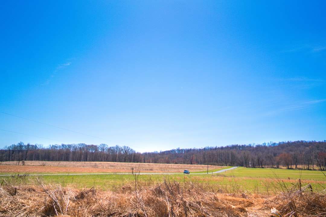 Зелено тревно поле под синьо небе през деня онлайн пъзел