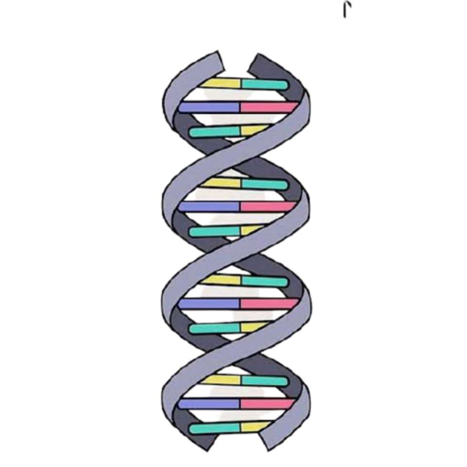 DNA-spel pussel på nätet