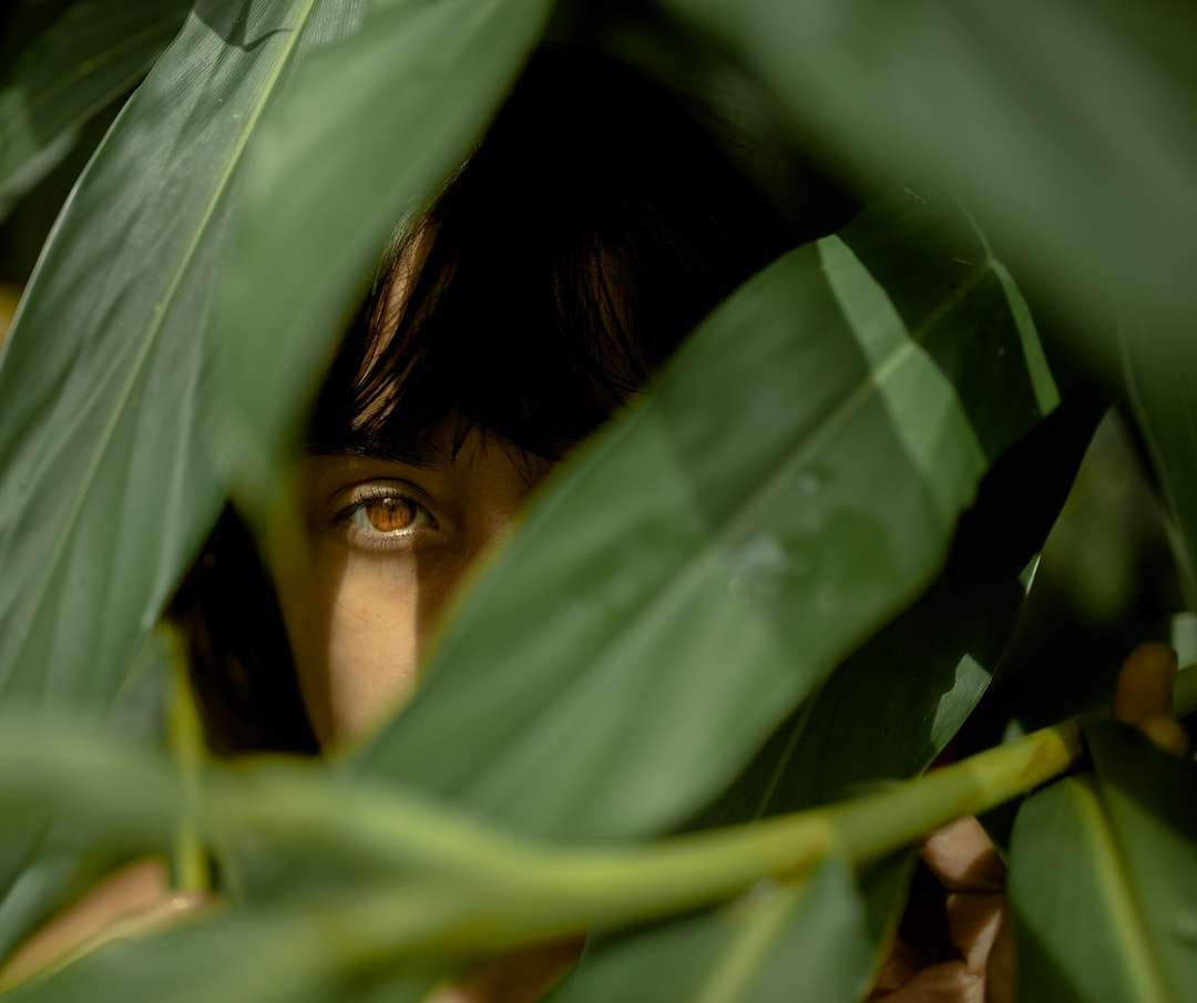Frau, die hinter grünen Blättern versteckt Puzzlespiel online