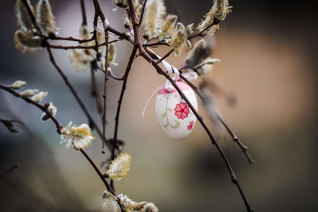 Weiße und rosa Blütenknospen in der Neigungsschichtlinse Puzzlespiel online
