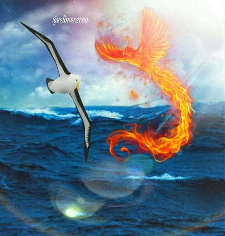 Albatros und Phoenix. Online-Puzzle