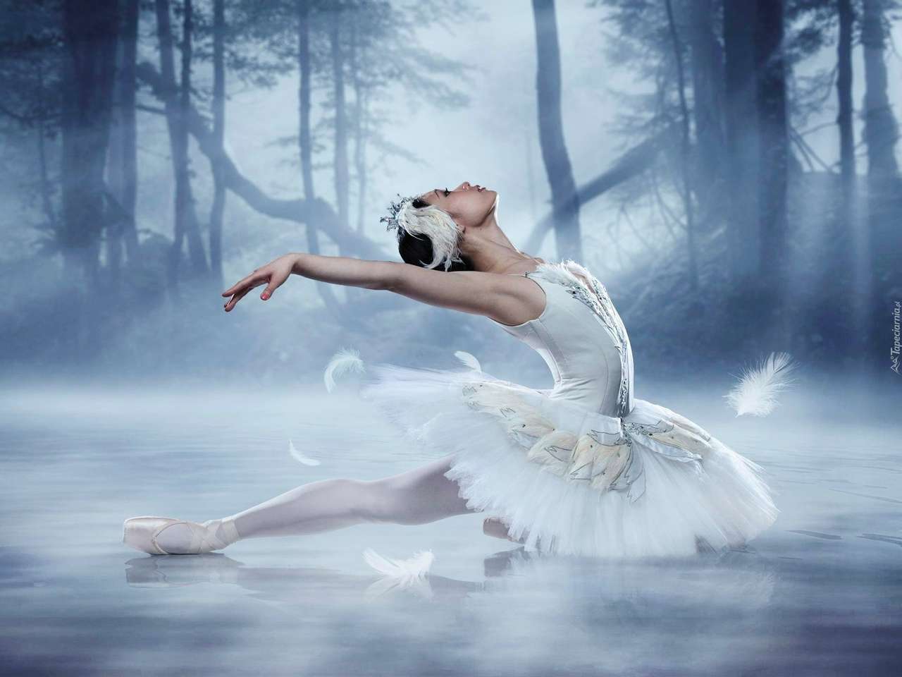 Ballet. quebra-cabeças online