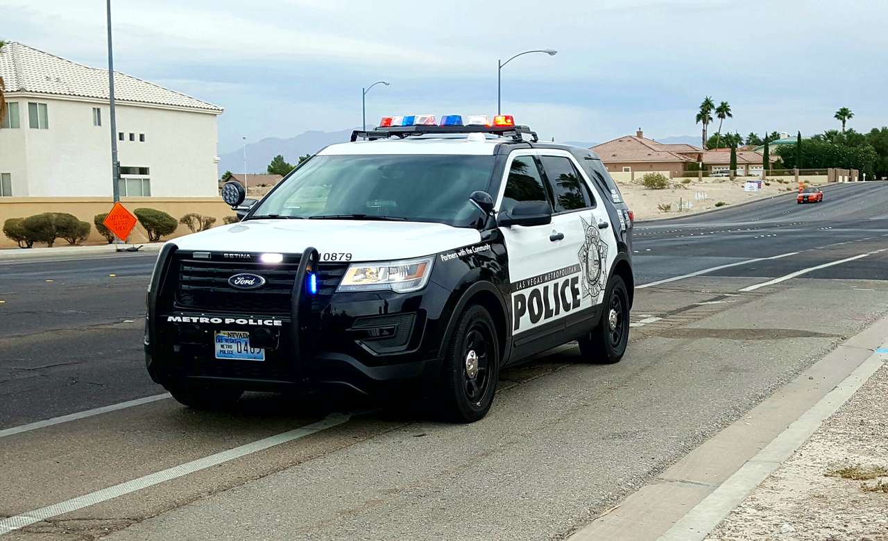 Las Vegas Metro Police puzzle online