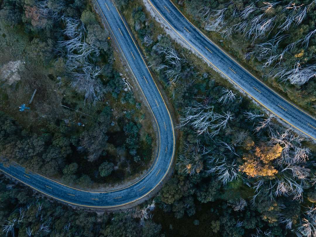 вид с воздуха на дорогу посреди деревьев онлайн-пазл