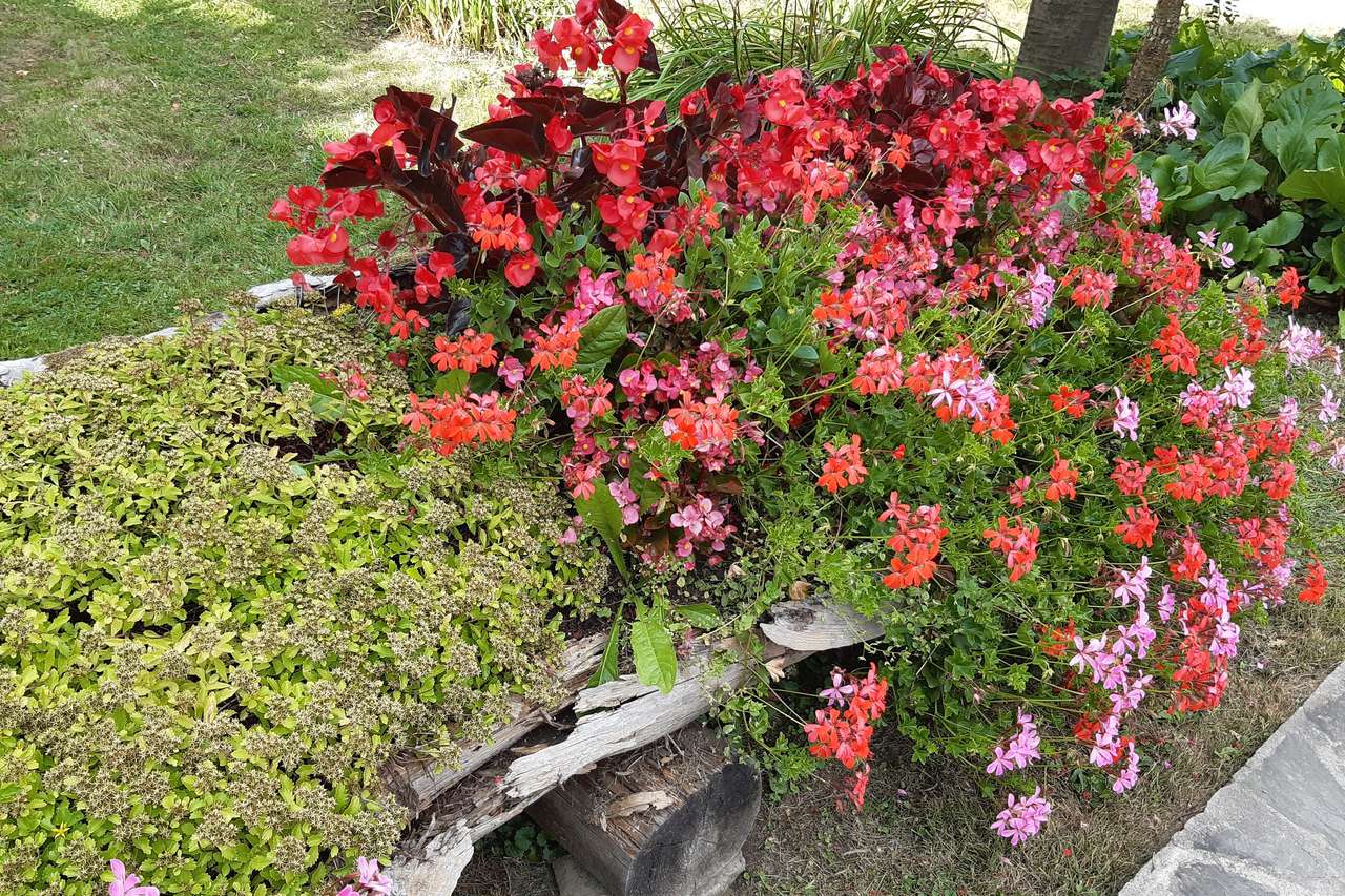 jardín de macizo de flores rompecabezas en línea