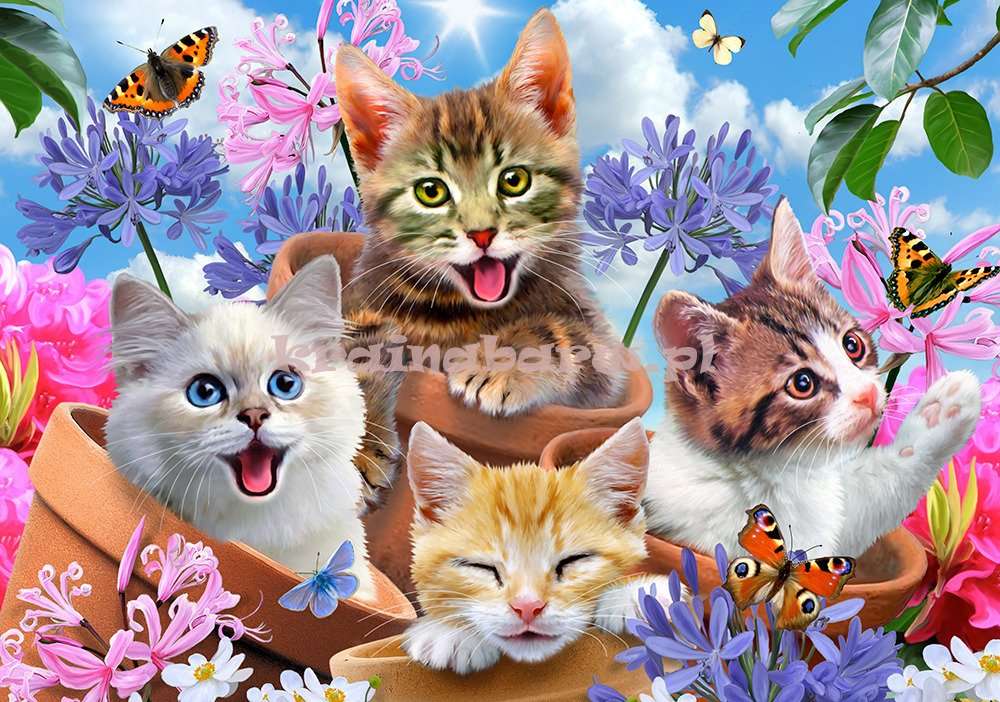 Piccoli gatti puzzle online