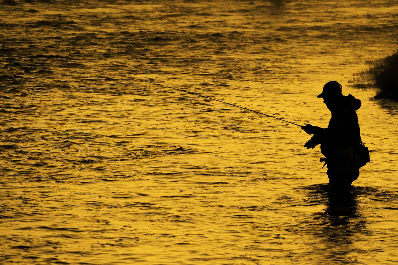 Риболовля пазл онлайн