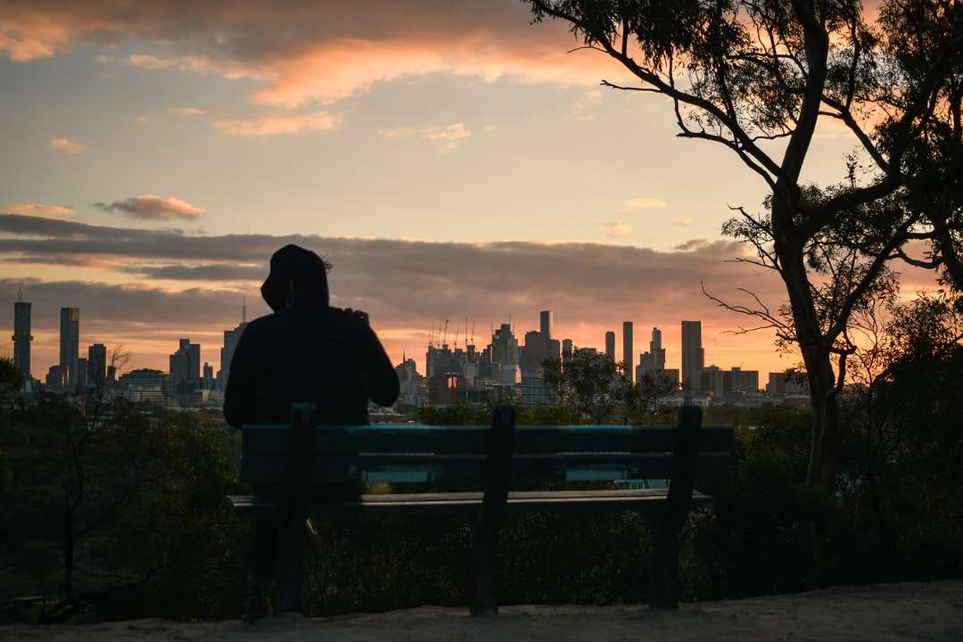 Mann, der während des Sonnenuntergangs auf Bank sitzt Puzzlespiel online