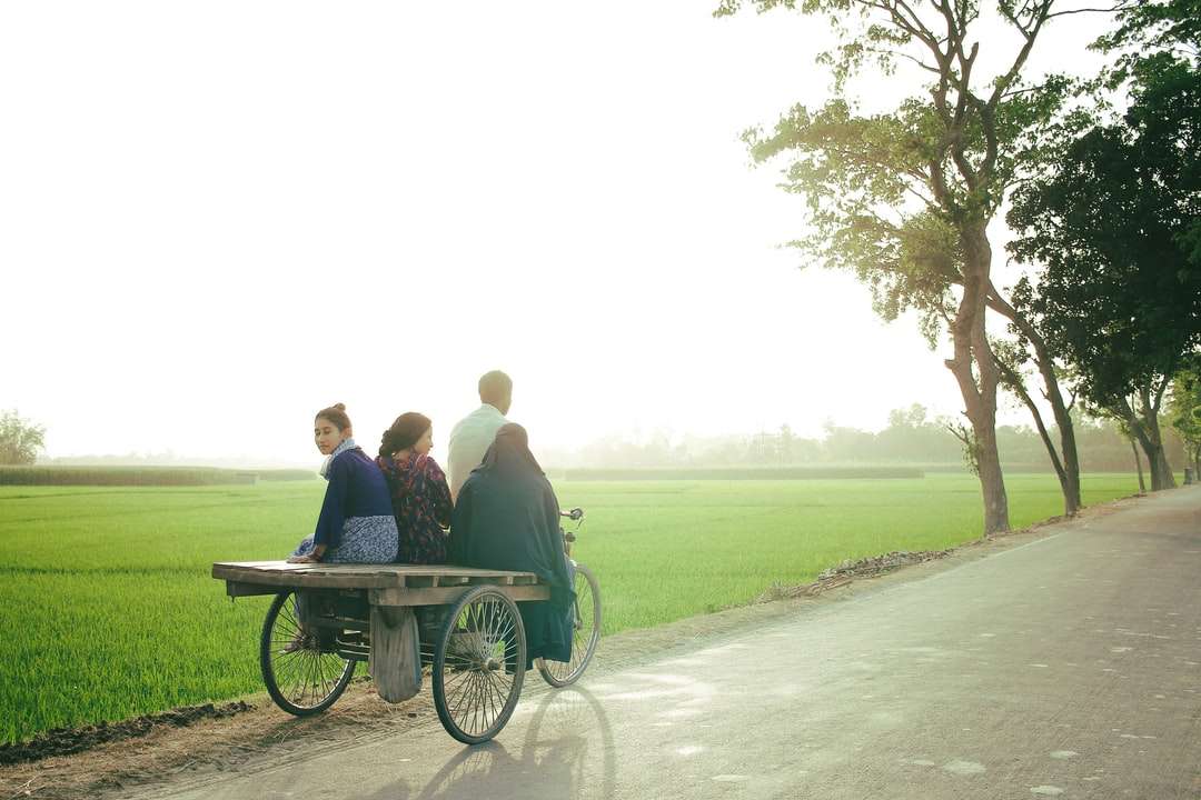 Homme et femme assis sur un banc près du champ d'herbe verte puzzle en ligne