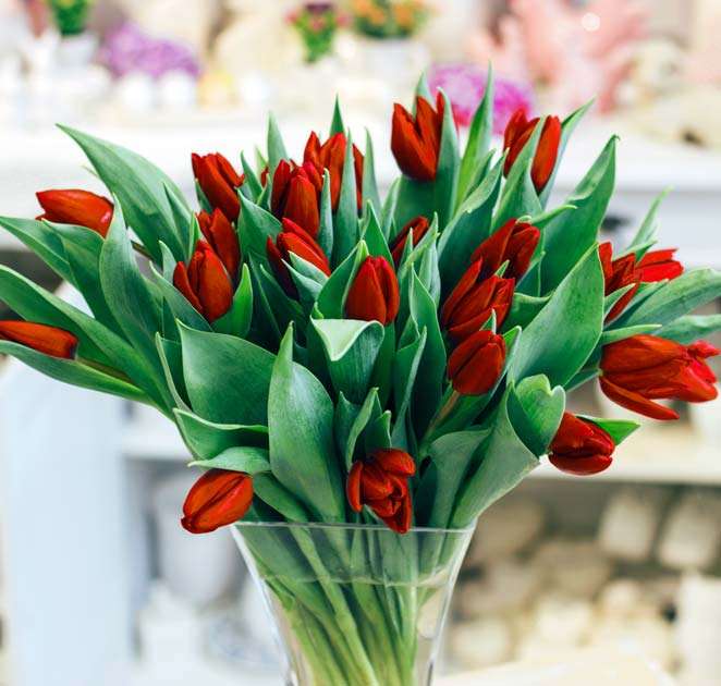 Красные тюльпаны пазл онлайн