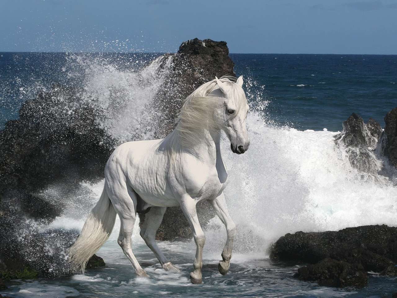 «Поэзия, созданная лошадью» пазл онлайн