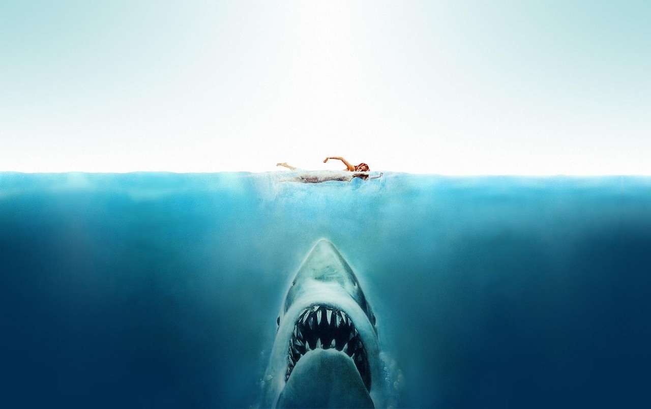 Podmořský svět; Velký bílý žralok. skládačky online