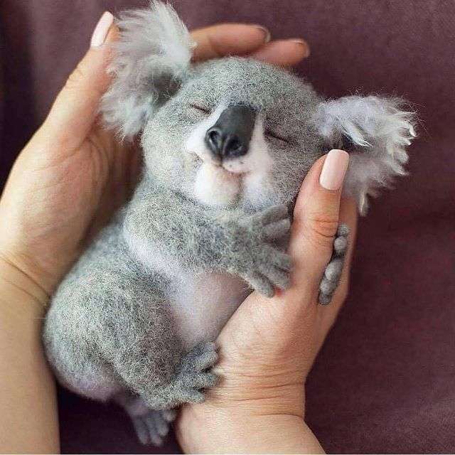 minuscolo koala. puzzle online