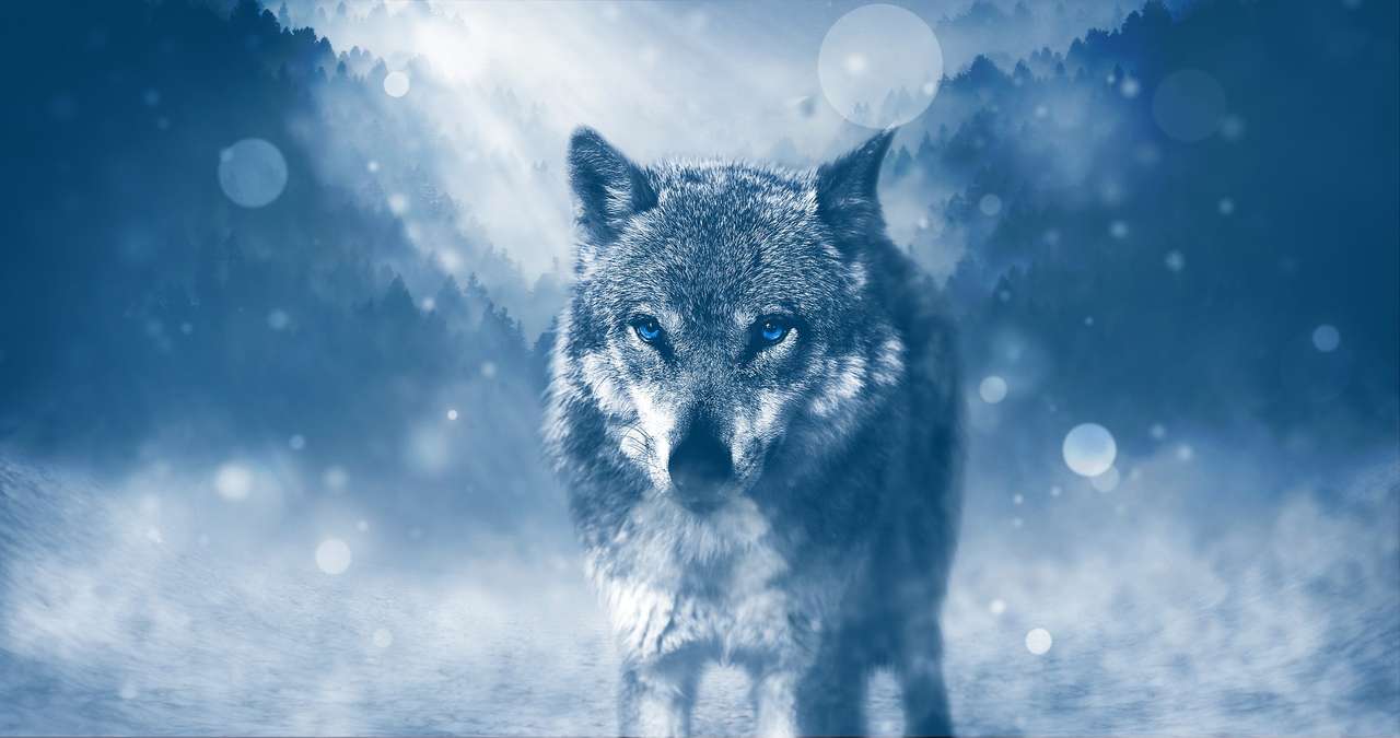 雪、オオカミ、山 ジグソーパズルオンライン