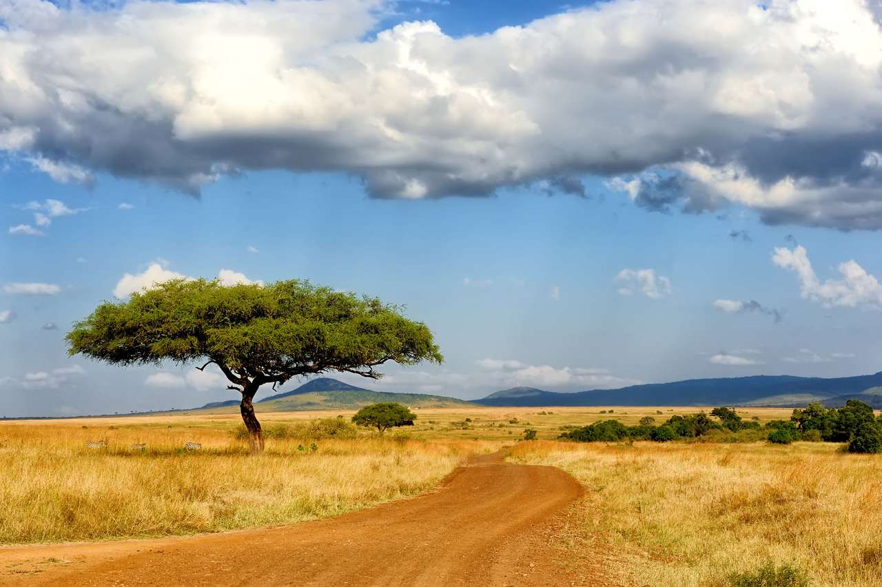 Árbol en África rompecabezas en línea