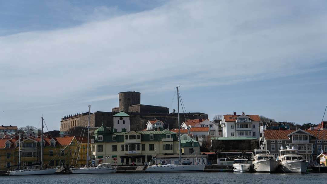 Vit och brun båt på bryggan under dagtid Pussel online