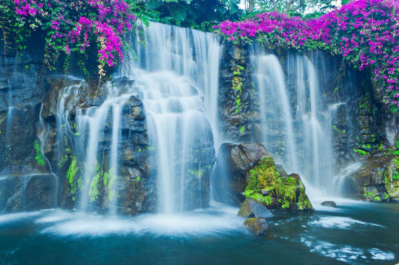 Cachoeira em flores puzzle online