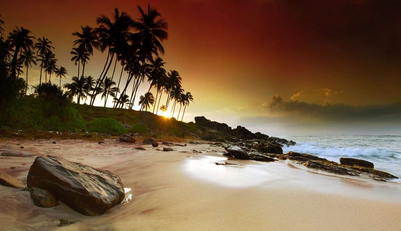 Pláž a Palm. skládačky online