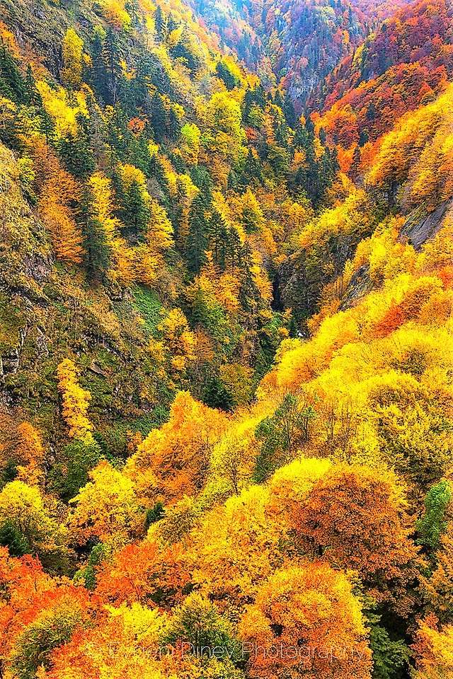 Herfst landschap in Bulgarije legpuzzel online