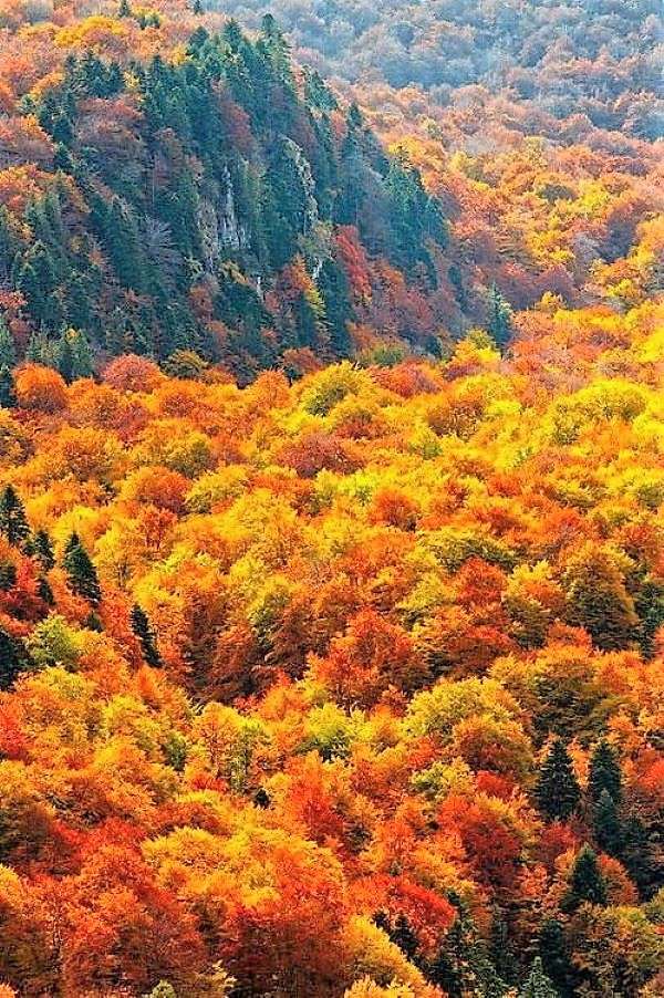 Paysage d'automne en Bulgarie puzzle en ligne