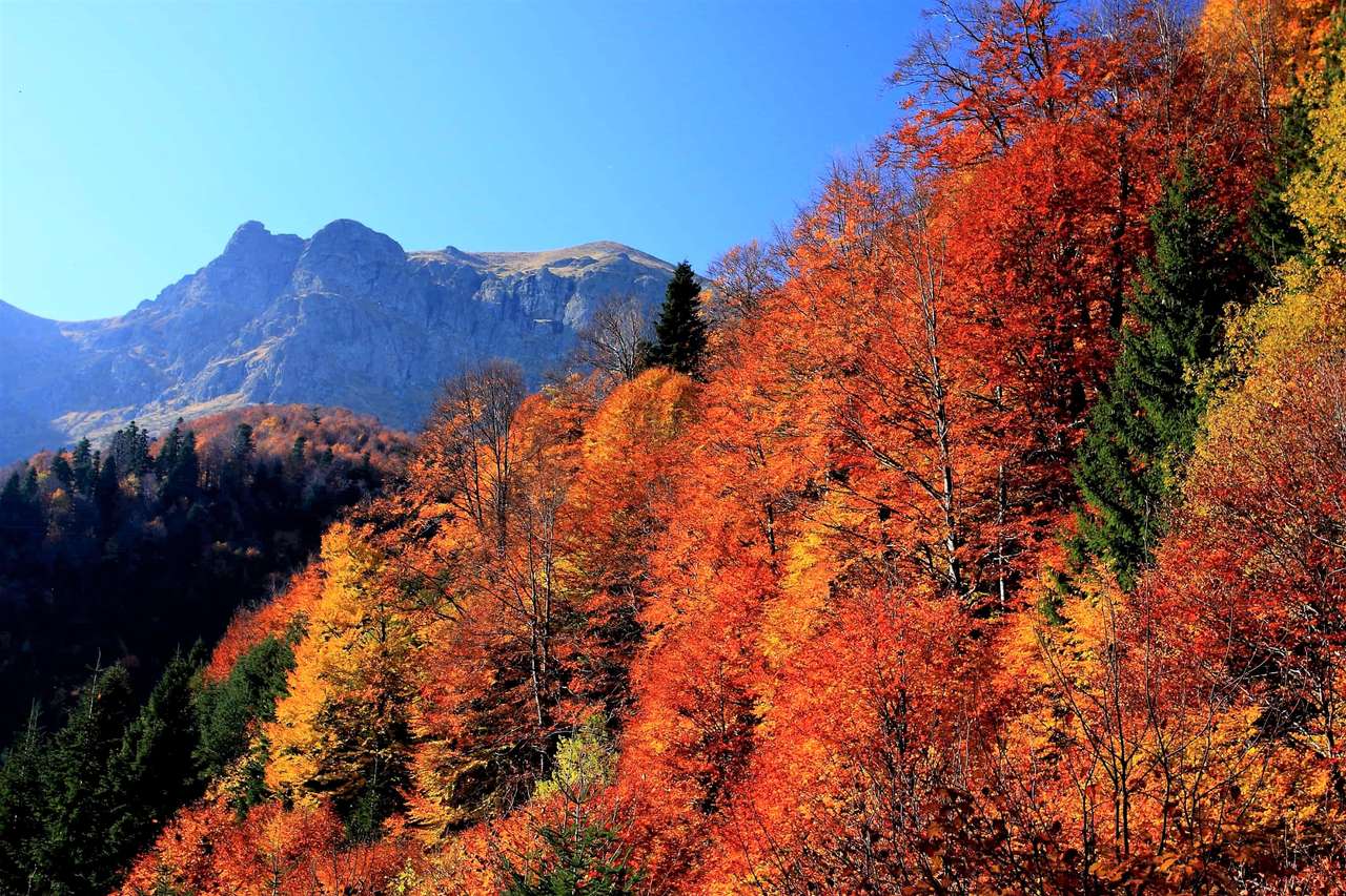 Paisagem de outono em Bulgária puzzle online