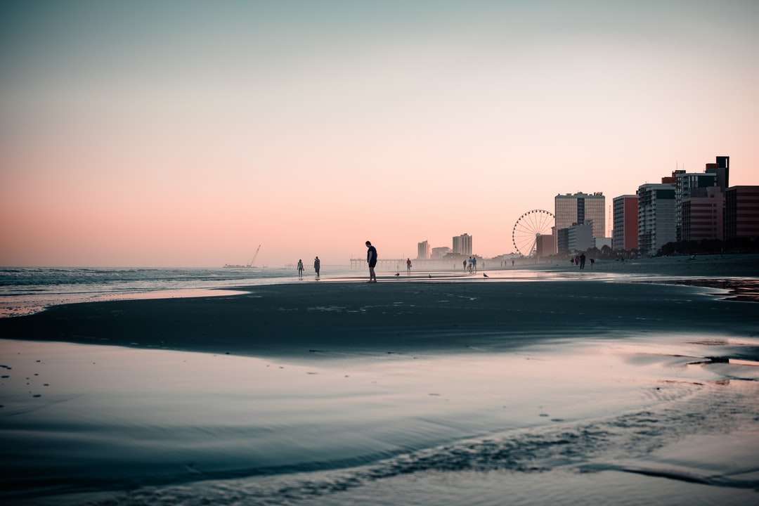 Gente caminando en la playa durante el día rompecabezas en línea