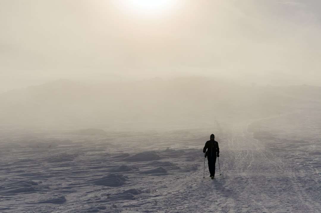 Човек в черно яке стои на покрит със сняг земята онлайн пъзел