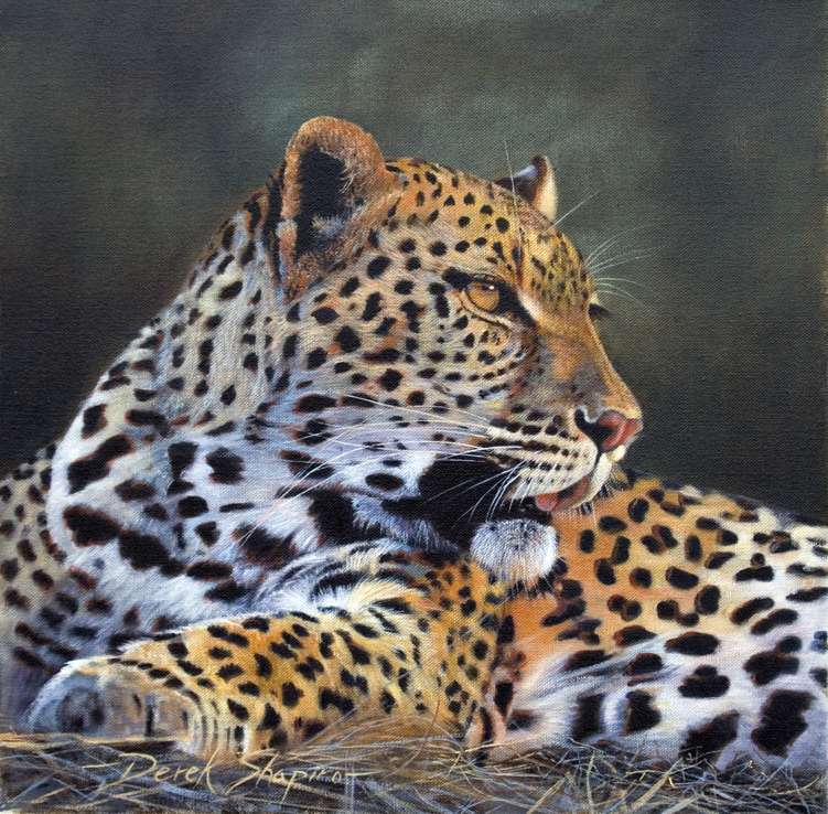 Leopard. Pussel online