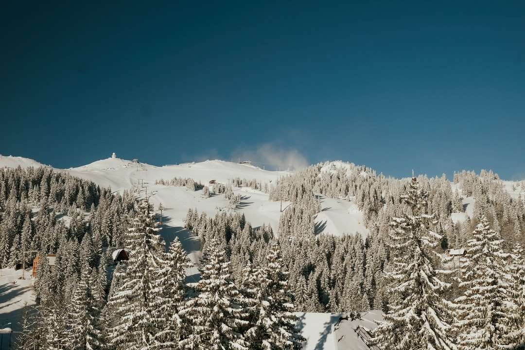 χιονισμένα δέντρα και βουνά κατά τη διάρκεια της ημέρας παζλ online