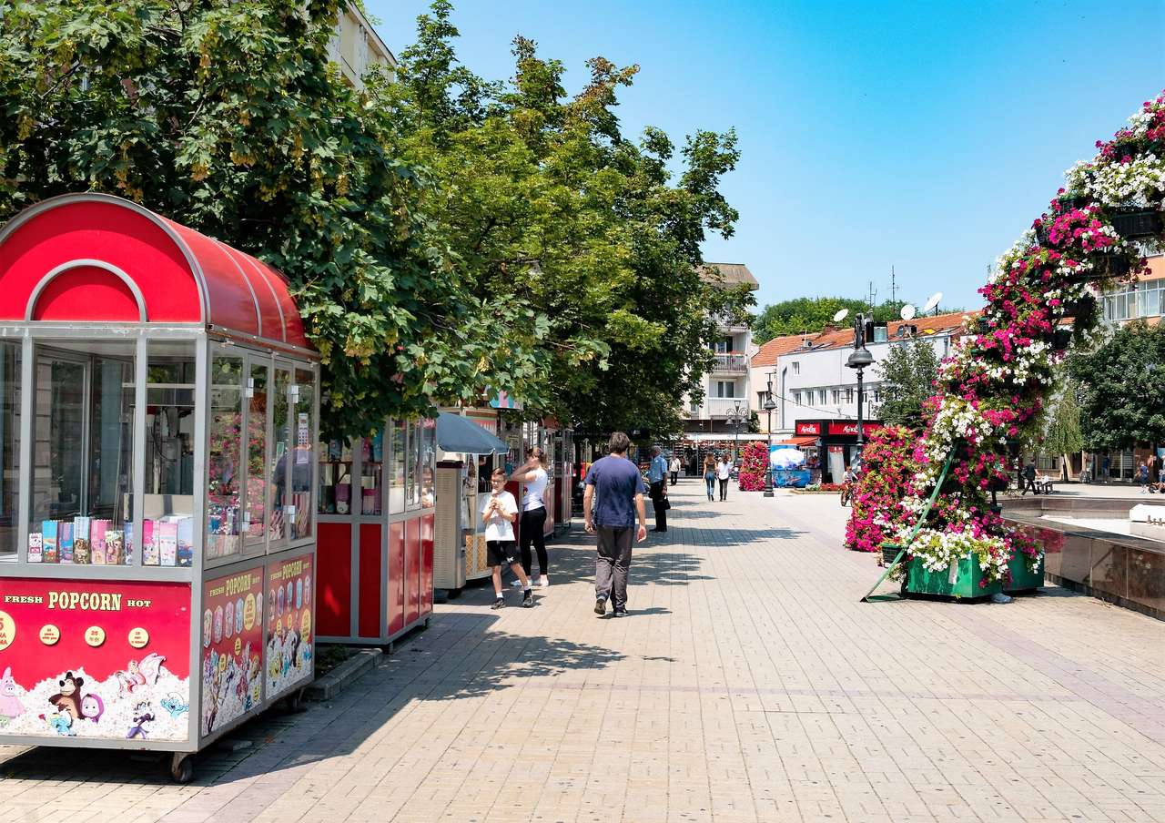 Orașul Smederevo din Serbia puzzle online