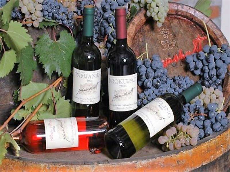 Prokupac vinobraní v Srbsku skládačky online