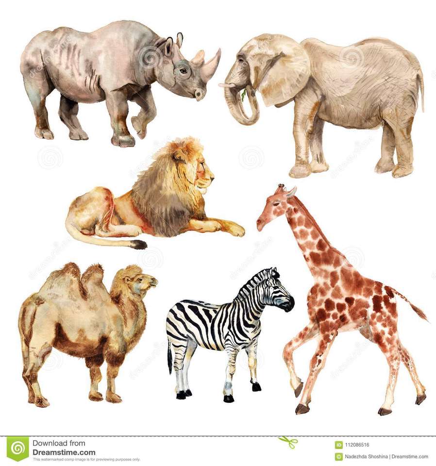 African animals online puzzle