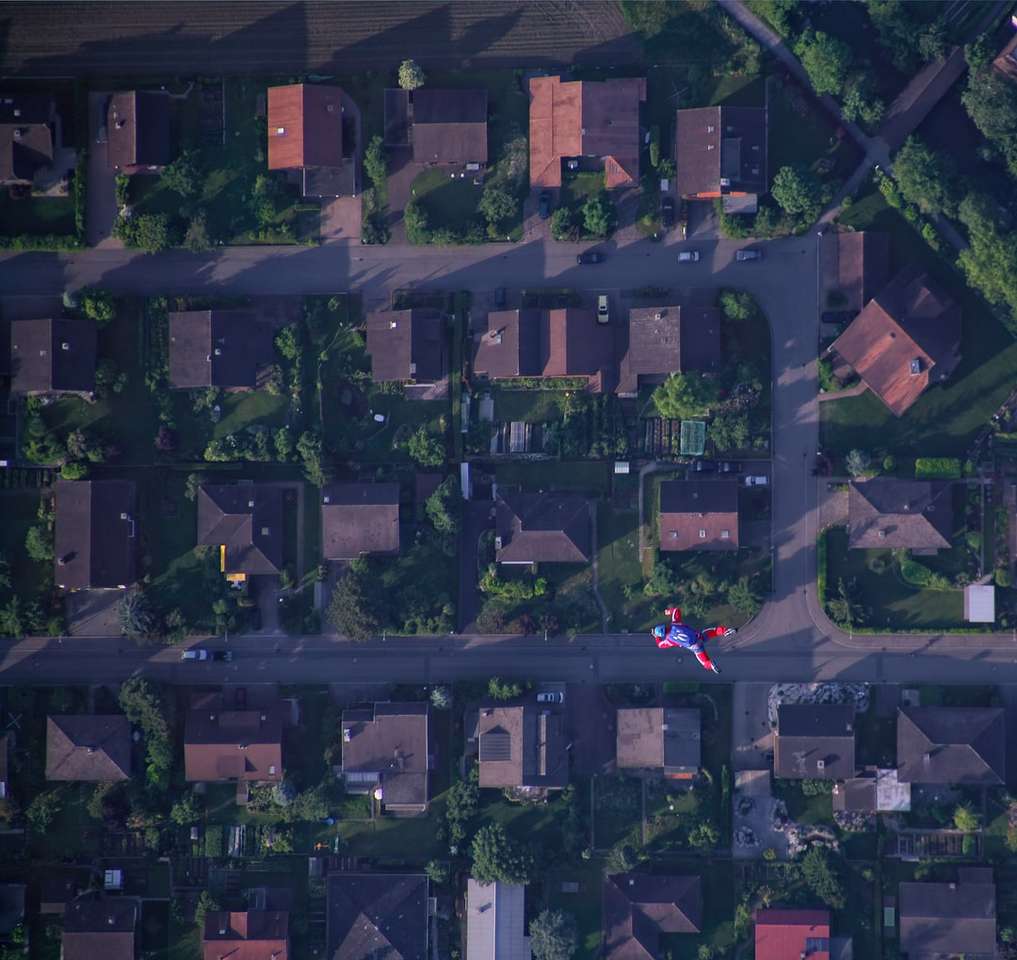 Vedere aeriană a copacilor și a caselor verzi jigsaw puzzle online