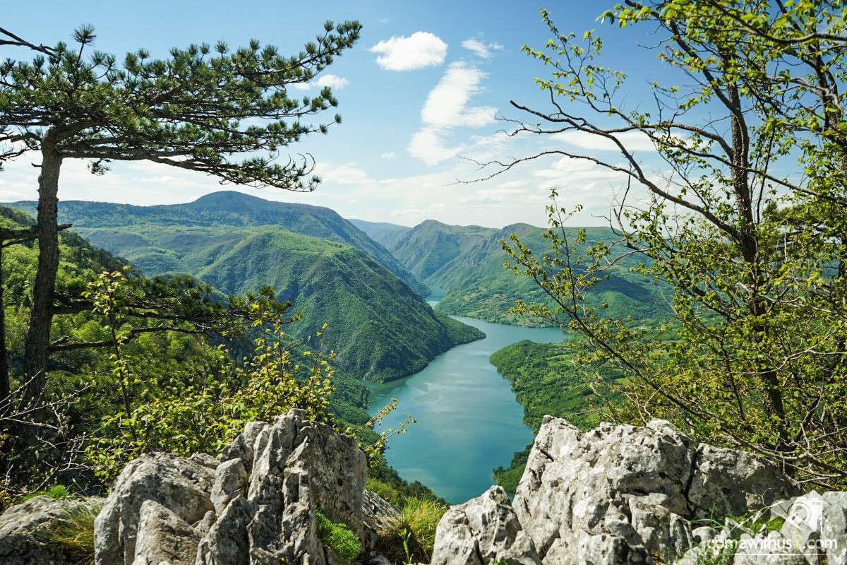 Εθνικό Πάρκο Tara στη Σερβία παζλ online