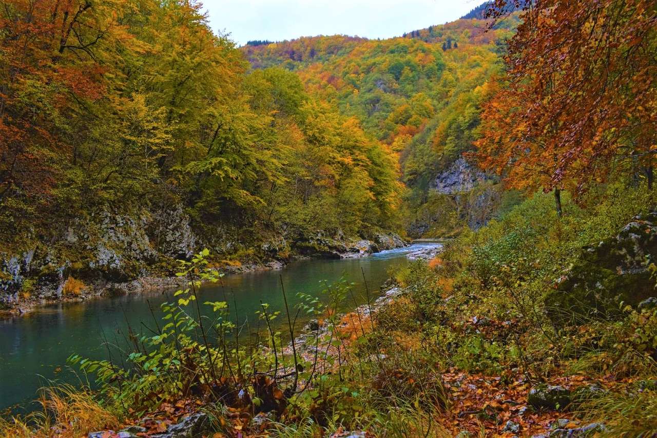 Национален парк Тара в Сърбия онлайн пъзел