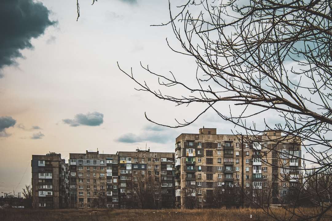 Árvore nua marrom perto de edifícios da cidade sob o céu nublado puzzle online