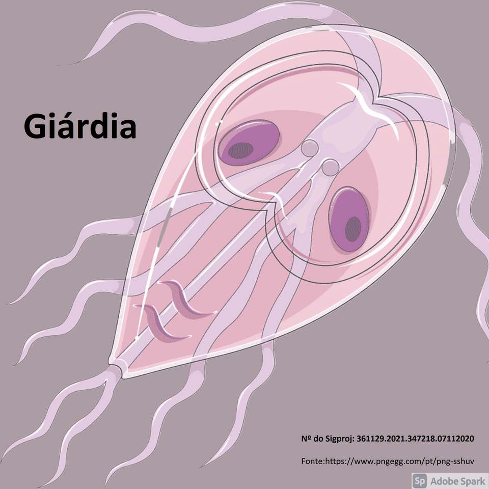 Puzzle su Giardia. puzzle online