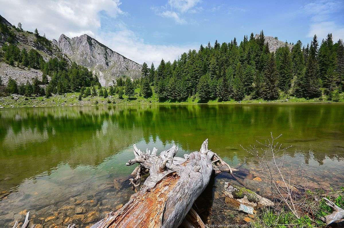 コソボのルゴーブ国立公園 オンラインパズル