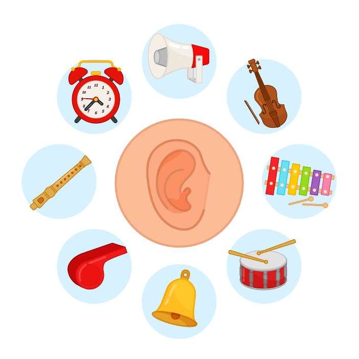 SENSE OF HEARING online puzzle