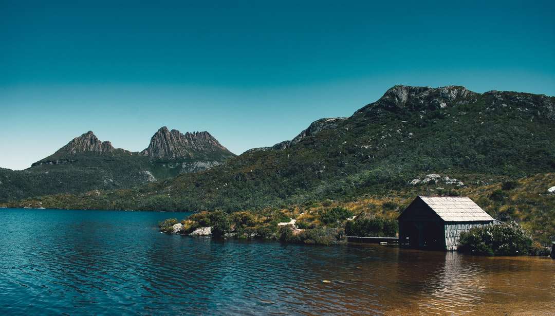 Brunt trähus på sjön nära grönt berg Pussel online
