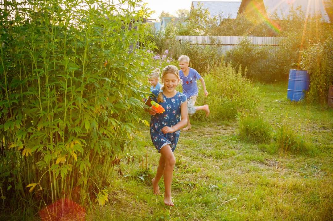 Chica en la camisa azul y blanca que se coloca en campo de hierba verde rompecabezas en línea