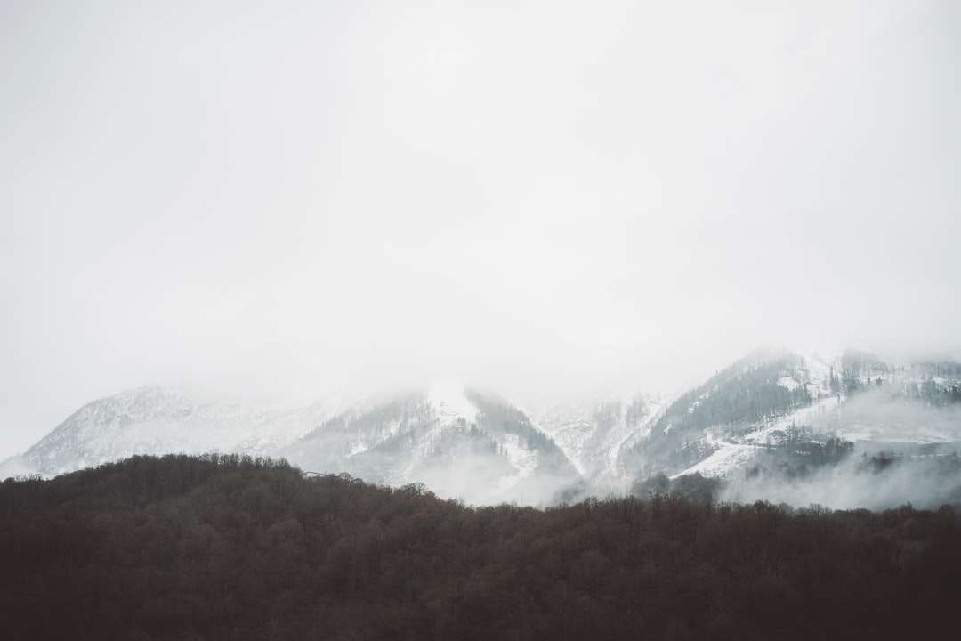 montanhas cobertas de neve durante o dia puzzle online